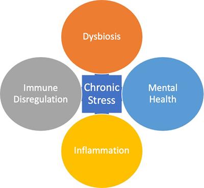 Dangers of the chronic stress response in the context of the microbiota-gut-immune-brain axis and mental health: a narrative review